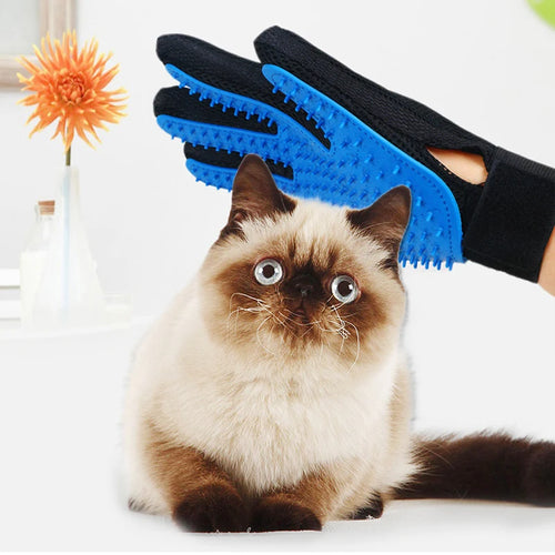 Grooming glove in use